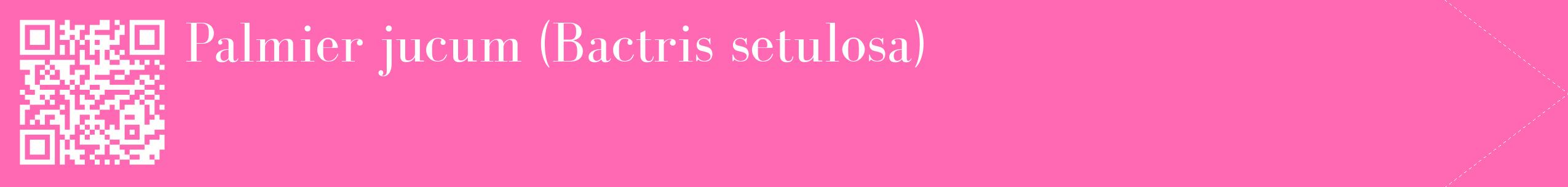 étiquette 2