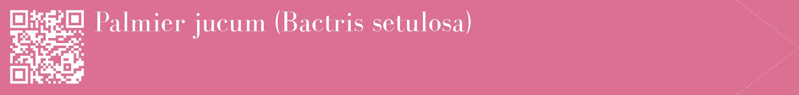 étiquette 2