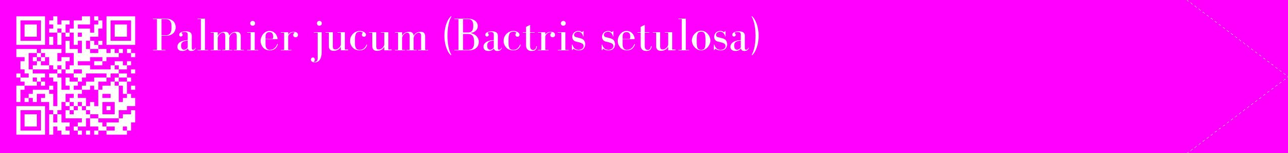 étiquette 2