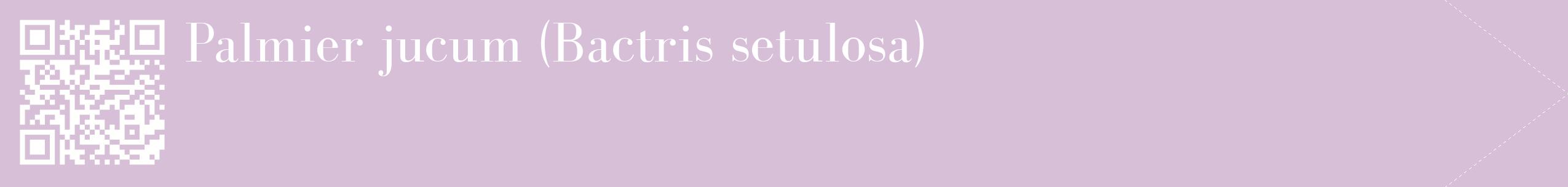 étiquette 2