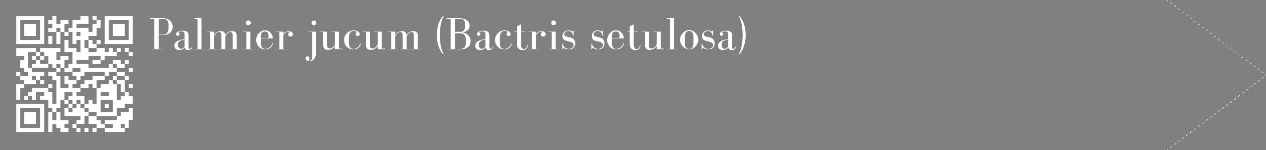 étiquette 2