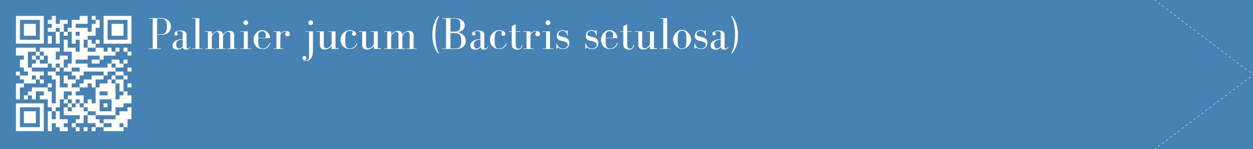étiquette 2