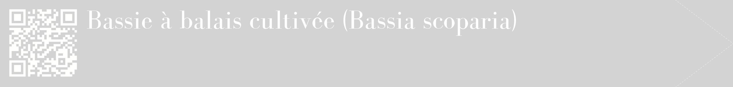 étiquette 2