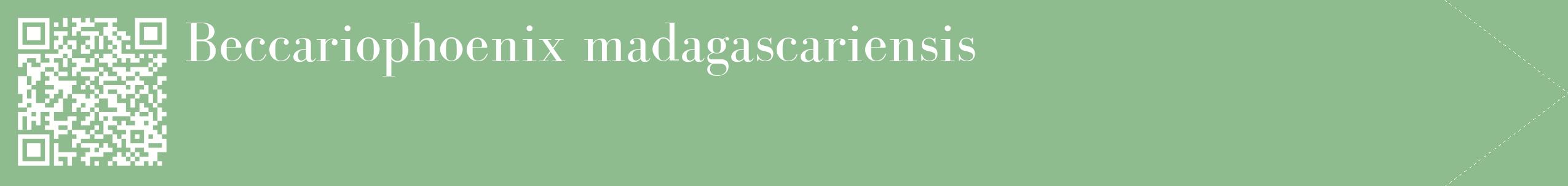 étiquette 2