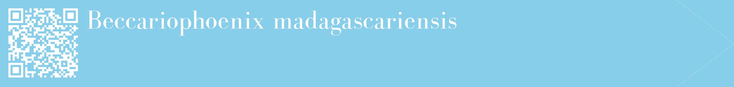 étiquette 2