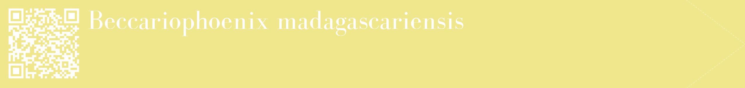 étiquette 2