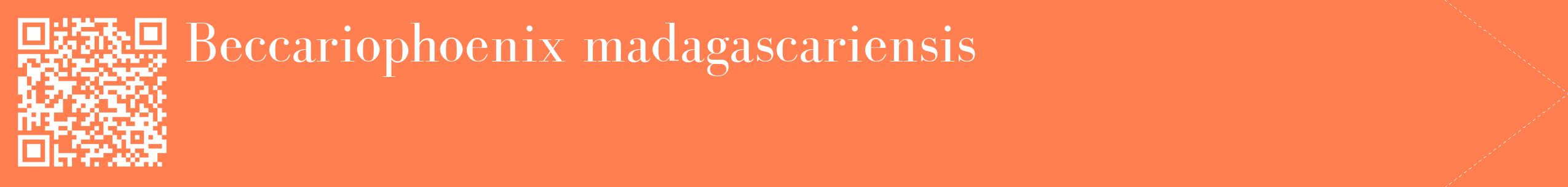 étiquette 2