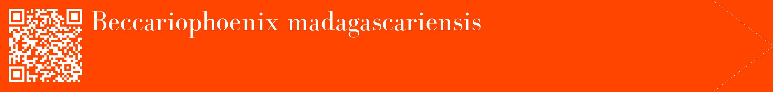 étiquette 2