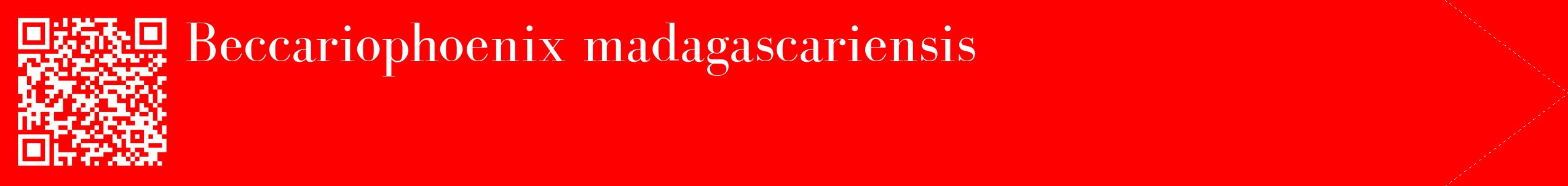 étiquette 2