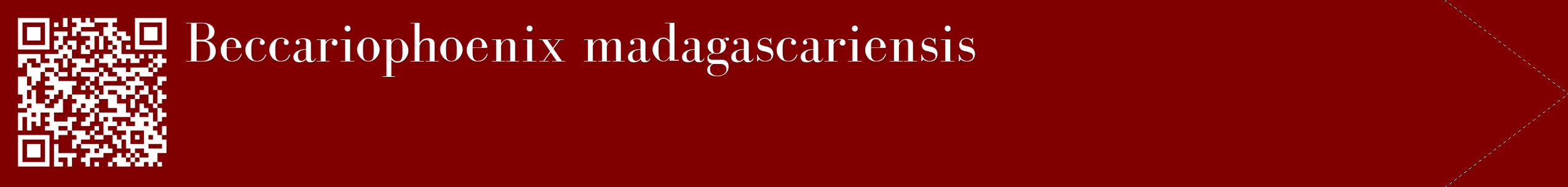étiquette 2