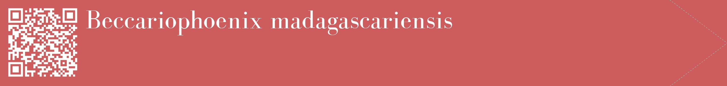 étiquette 2