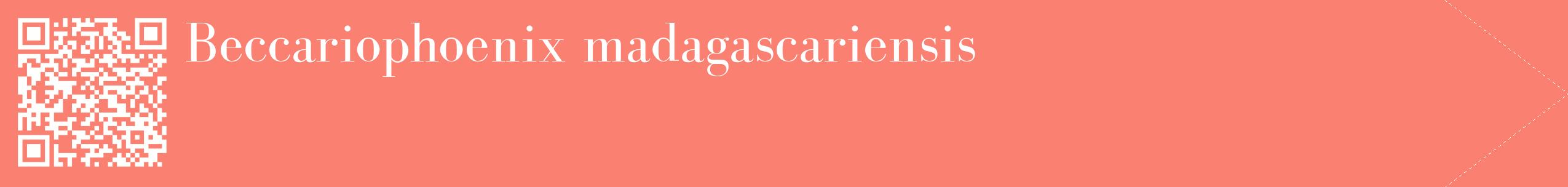 étiquette 2