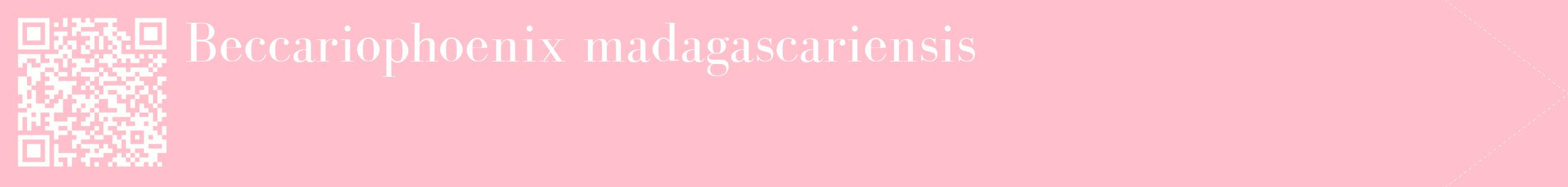 étiquette 2