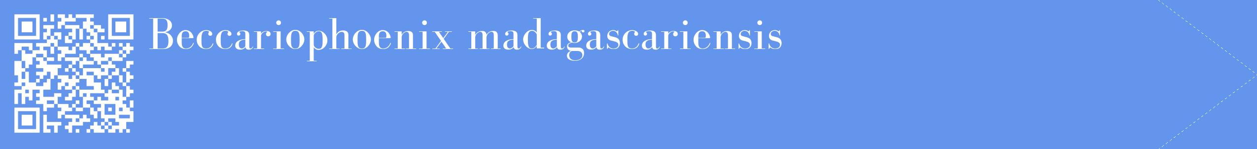 étiquette 2