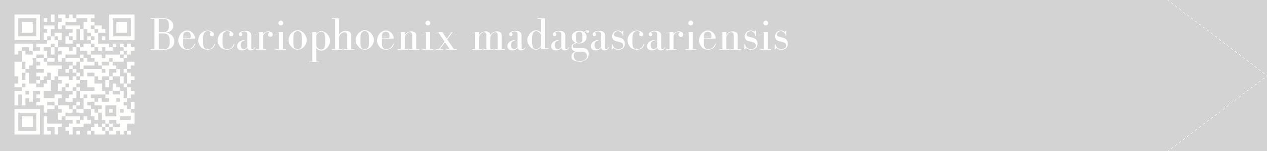 étiquette 2