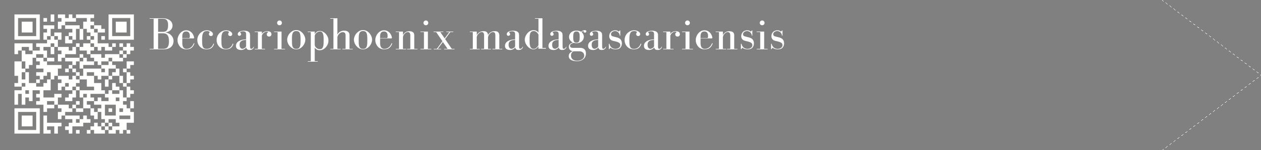 étiquette 2