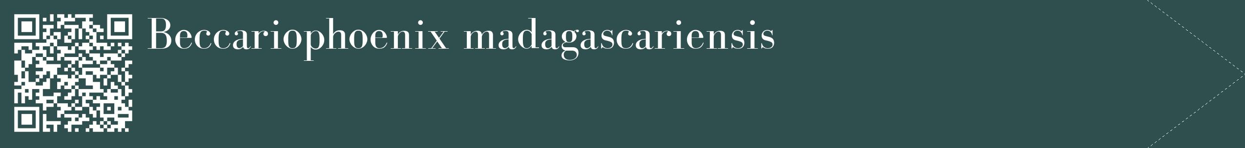 étiquette 2