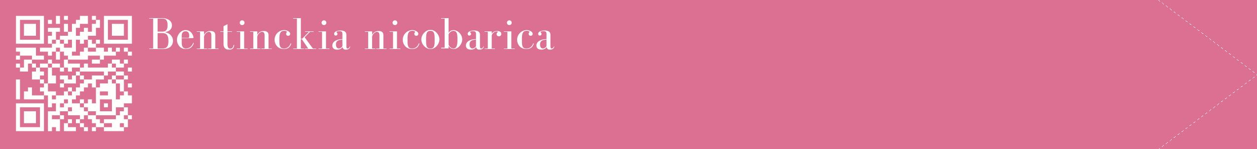 étiquette 2