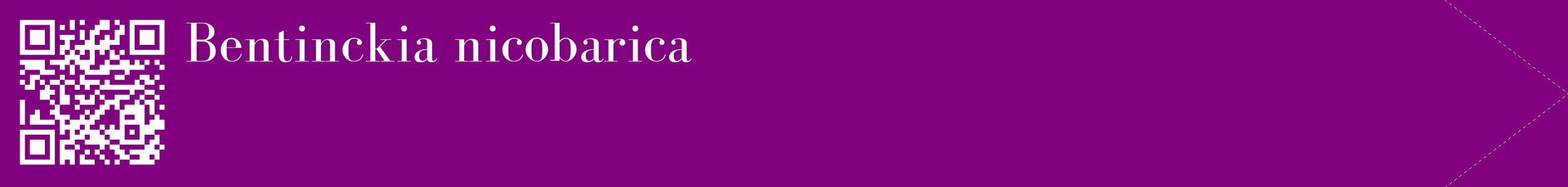 étiquette 2