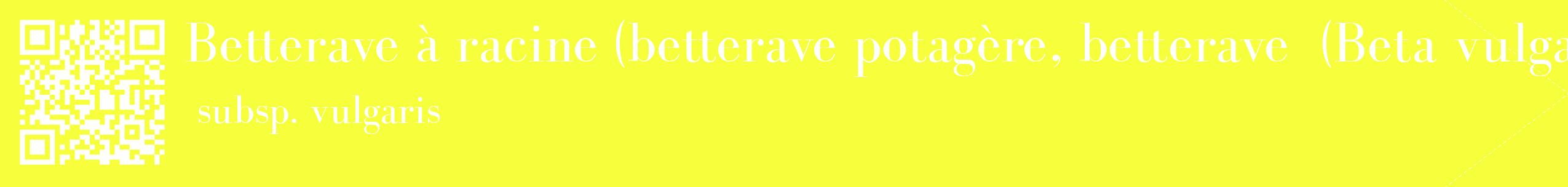 étiquette 2