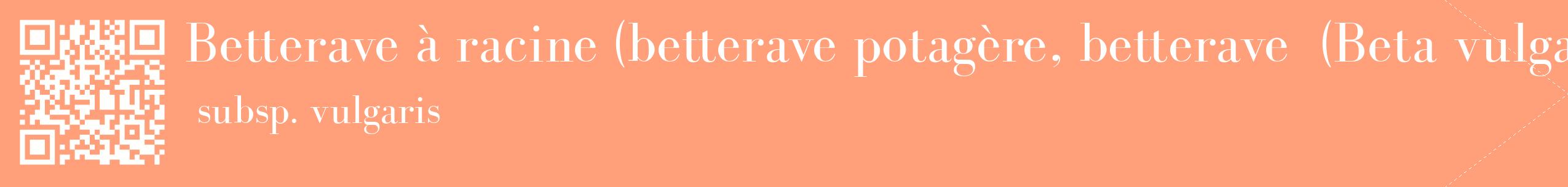 étiquette 2