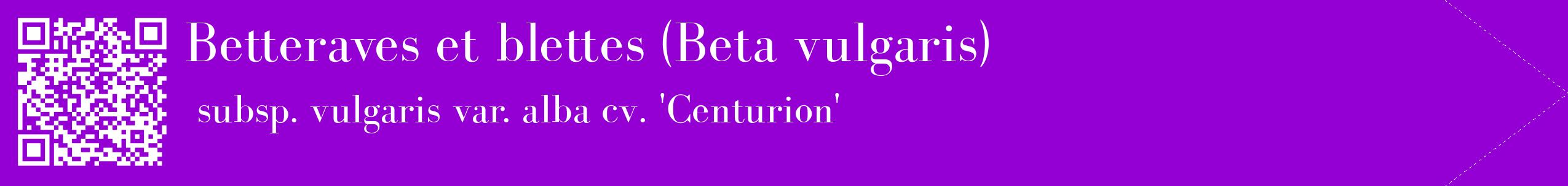 étiquette 2