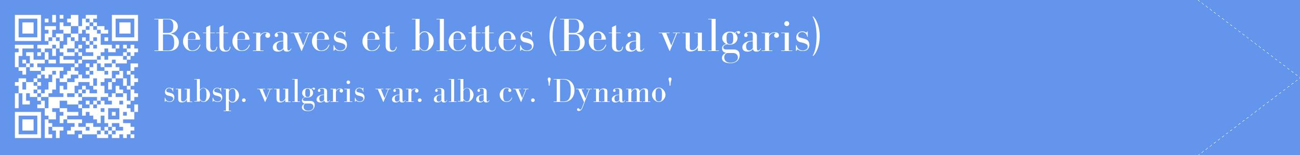 étiquette 2