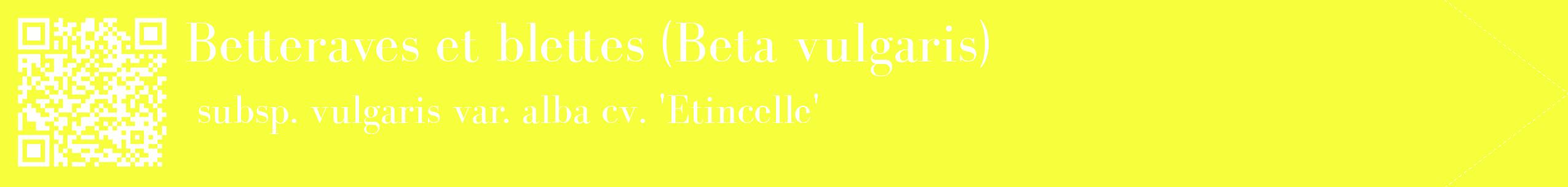 étiquette 2