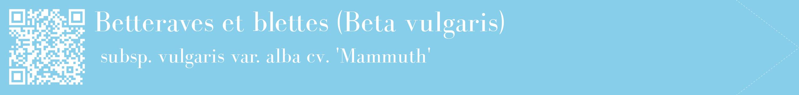 étiquette 2
