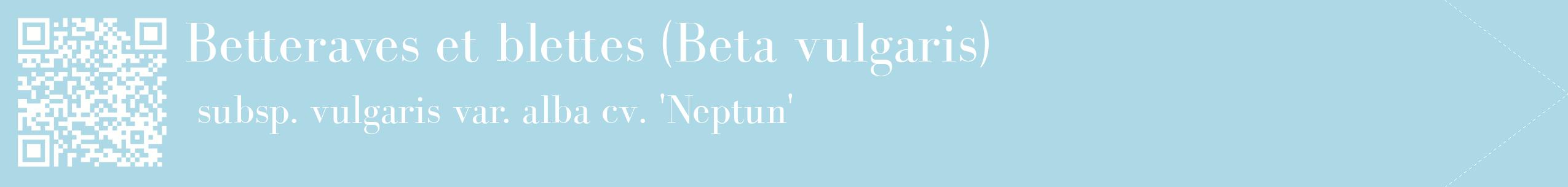 étiquette 2