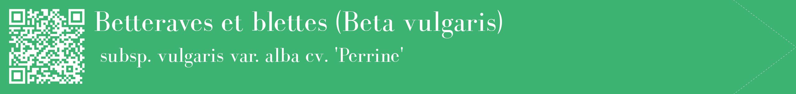 étiquette 2