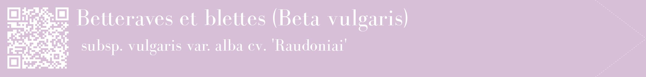 étiquette 2