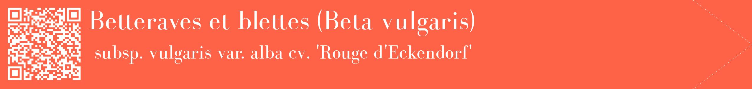 étiquette 2