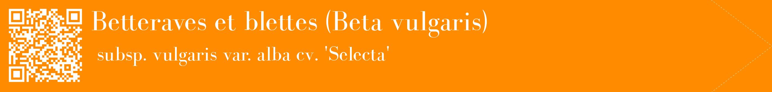 étiquette 2