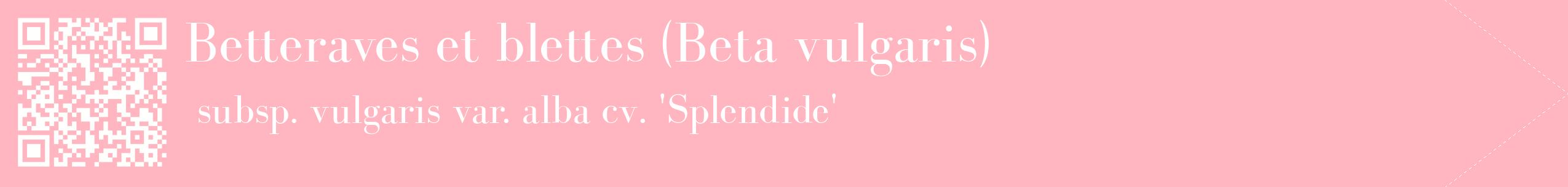 étiquette 2