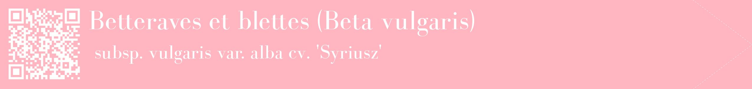 étiquette 2