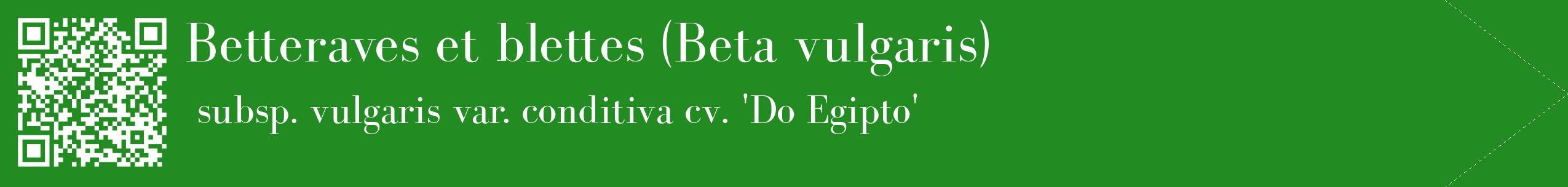 étiquette 2