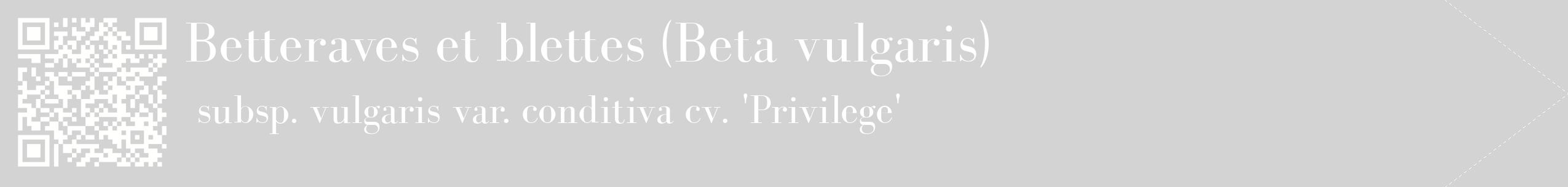 étiquette 2