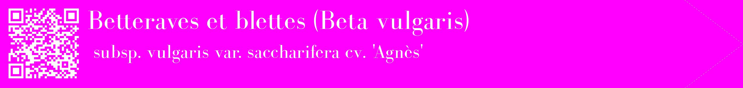 étiquette 2