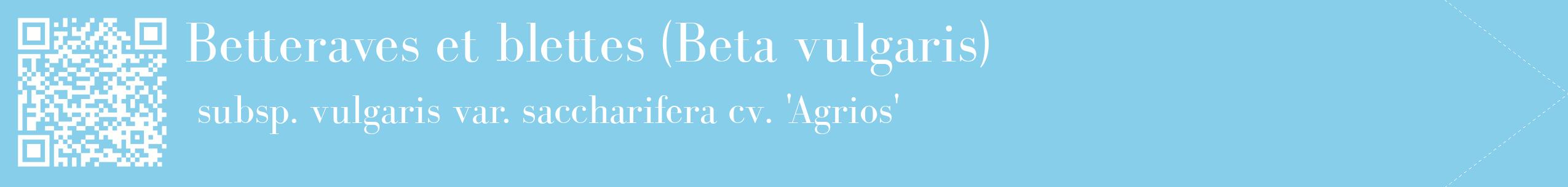 étiquette 2