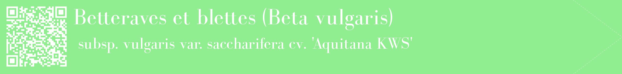 étiquette 2