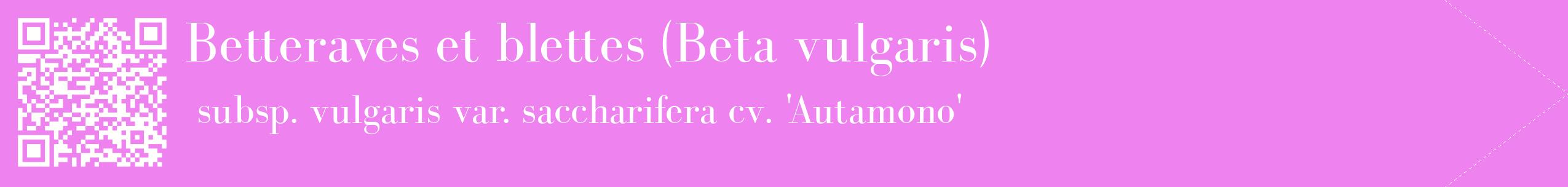 étiquette 2