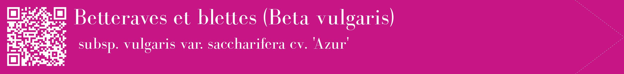 étiquette 2