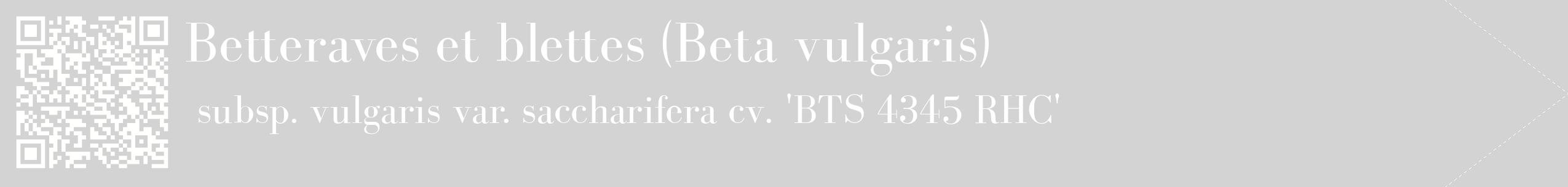 étiquette 2