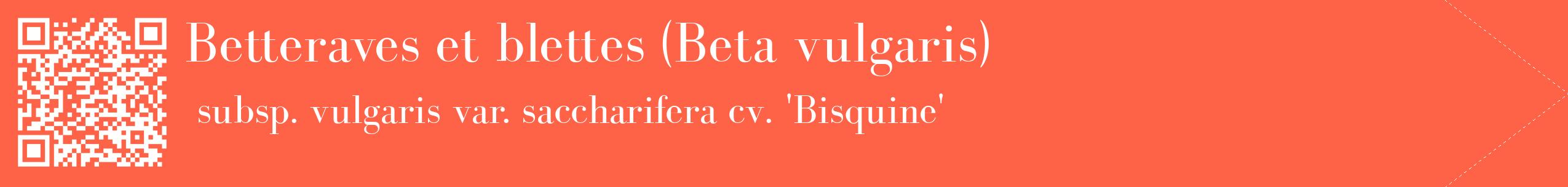 étiquette 2
