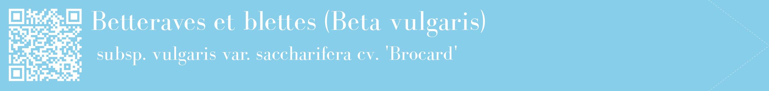 étiquette 2