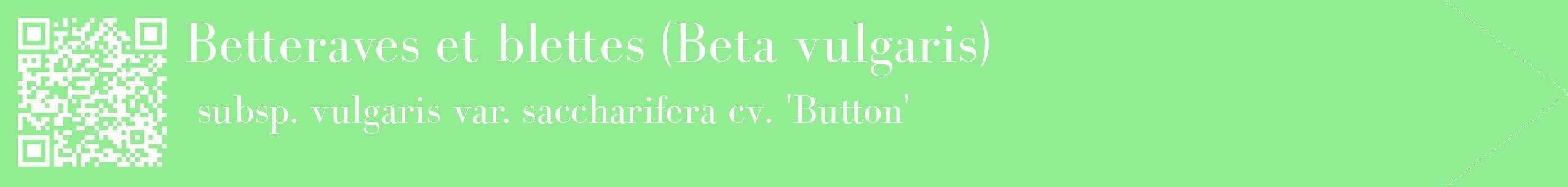 étiquette 2