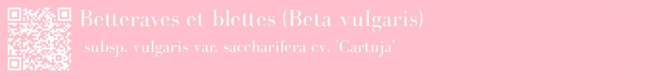 étiquette 2