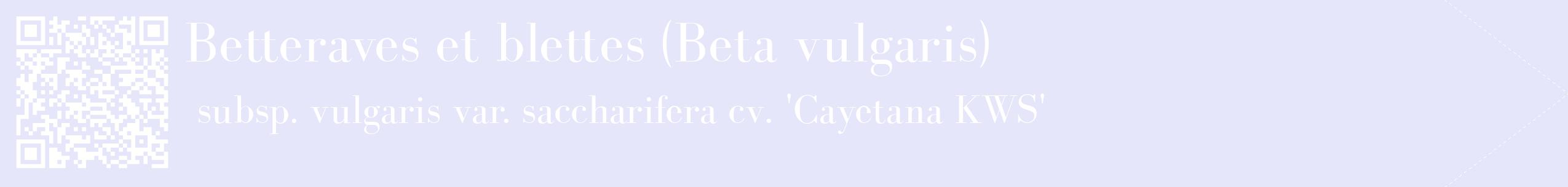 étiquette 2