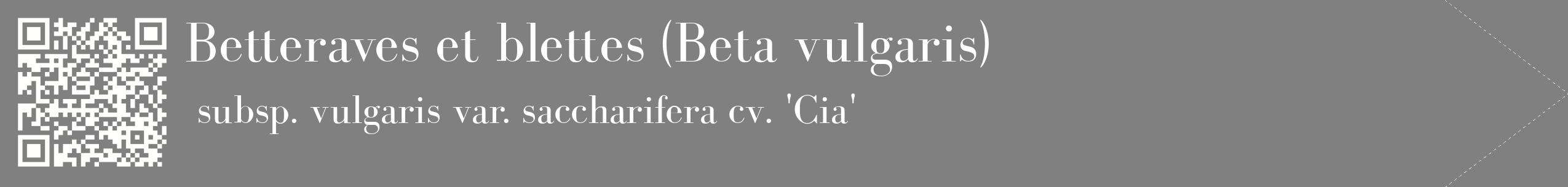 étiquette 2